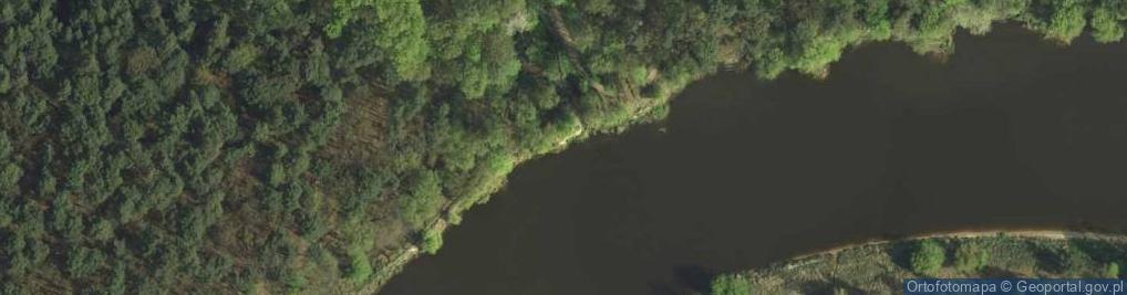 Zdjęcie satelitarne Ujście rz. Wirynka do rz. Warta