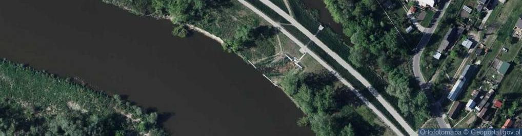 Zdjęcie satelitarne Ujście rz. Wisła do rz. Odnoga