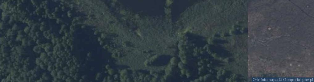 Zdjęcie satelitarne Ujście rz. Zimna Woda do jez. Święcajty