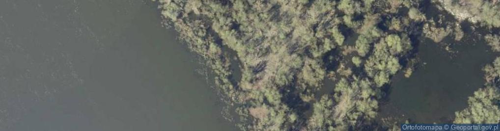 Zdjęcie satelitarne Ujście rz. Zofijka do rz. Wisły