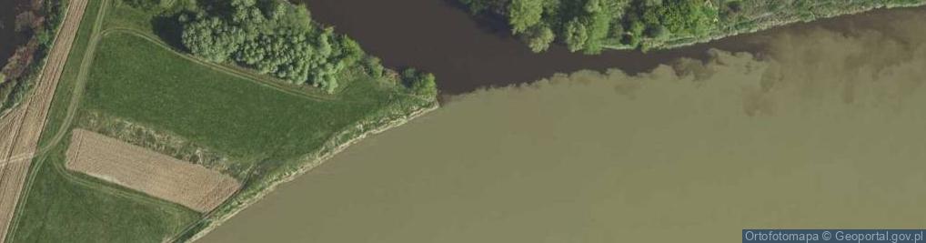 Zdjęcie satelitarne Ujście rzeki Nidy- rz. Wisła [L175
