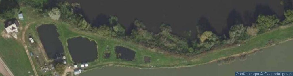 Zdjęcie satelitarne Ujście Śremskiej Strugi do rz. Warta