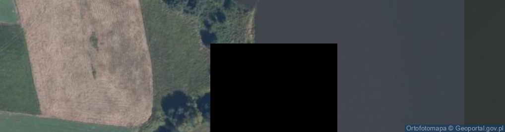 Zdjęcie satelitarne Ujście Strugi Młyńskiej do rz. Wisły