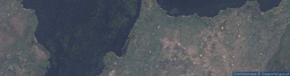 Zdjęcie satelitarne Ujście wód rz. Skarchówka do zat. Cicha Zatoka