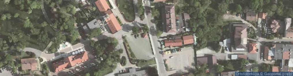 Zdjęcie satelitarne Kopalnia Soli