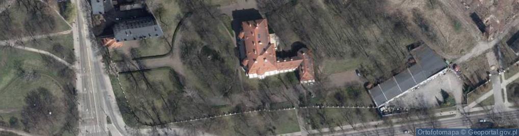 Zdjęcie satelitarne Pałac Biedermanna