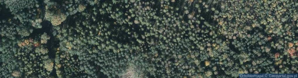 Zdjęcie satelitarne Uroczysko Badula