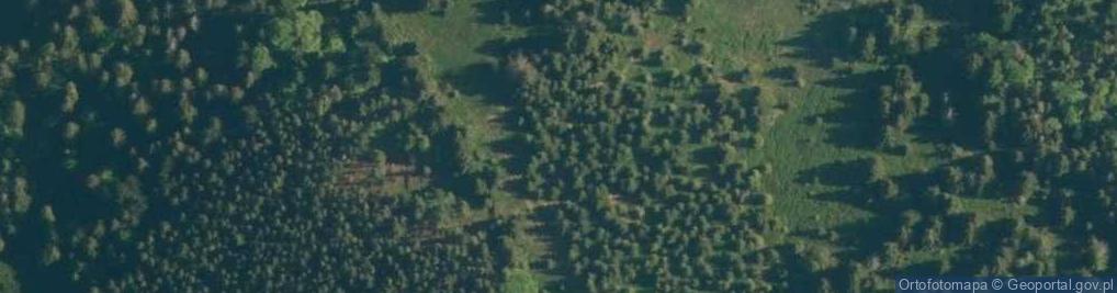 Zdjęcie satelitarne Uroczysko Bieńkowa Polana