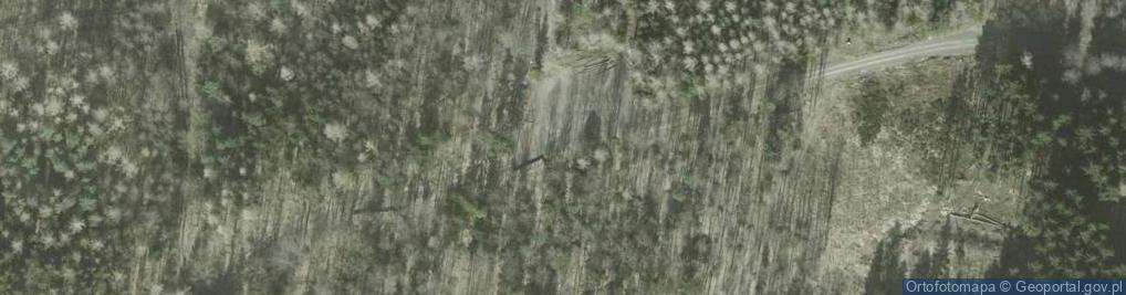 Zdjęcie satelitarne Uroczysko Biskupi Las