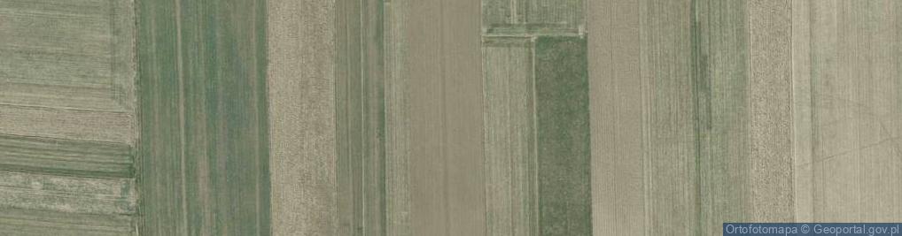 Zdjęcie satelitarne Uroczysko Błonie