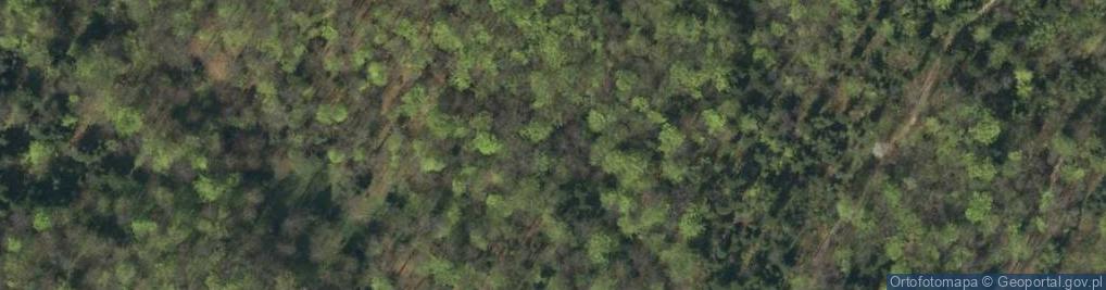 Zdjęcie satelitarne Uroczysko Bucze