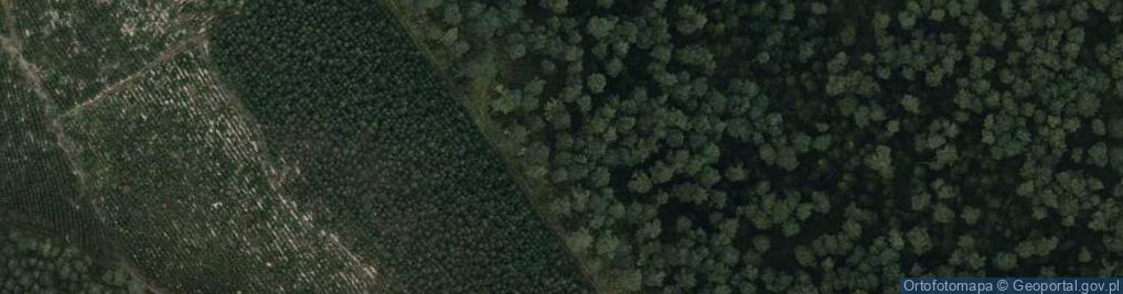 Zdjęcie satelitarne Uroczysko Budy Wolacze
