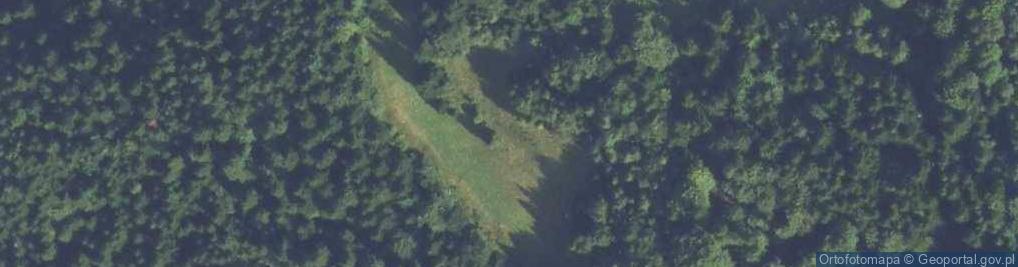 Zdjęcie satelitarne Uroczysko Bukowina