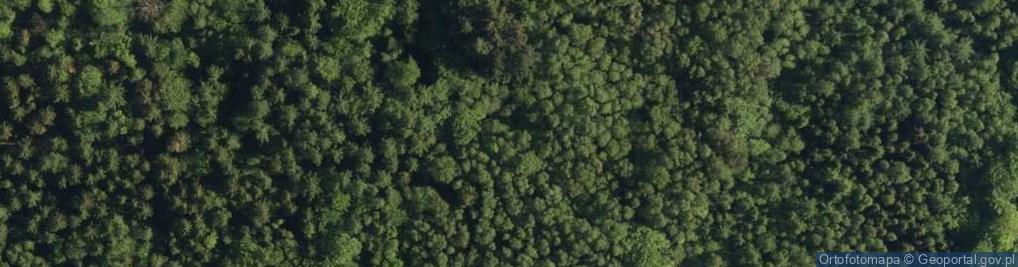 Zdjęcie satelitarne Uroczysko Bukowy Las