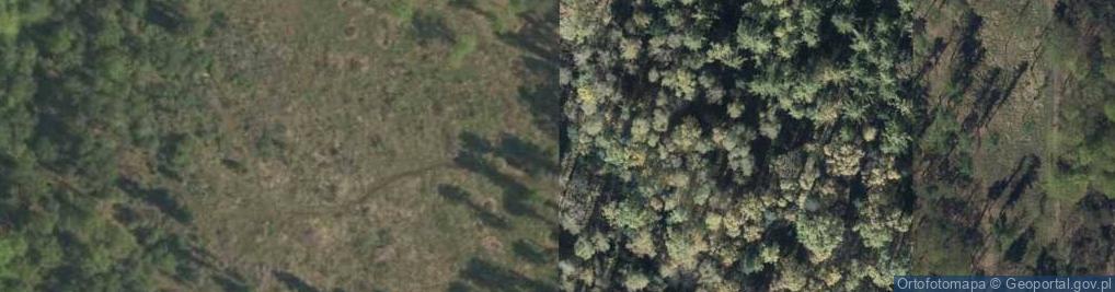 Zdjęcie satelitarne Uroczysko Bulowski Las