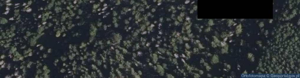 Zdjęcie satelitarne Uroczysko Chomotowszczyzna