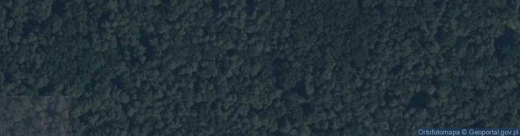 Zdjęcie satelitarne Uroczysko Czaple