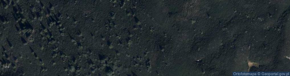 Zdjęcie satelitarne Uroczysko Czarna Pasza