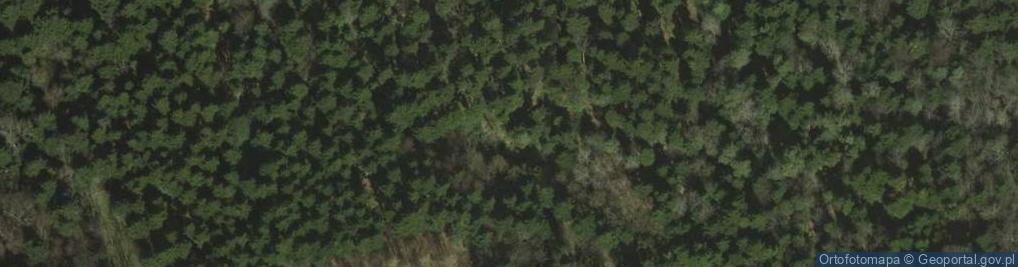 Zdjęcie satelitarne Uroczysko Czarny Las