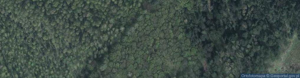 Zdjęcie satelitarne Uroczysko Czarny Las
