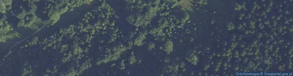 Zdjęcie satelitarne Uroczysko Czerniawa