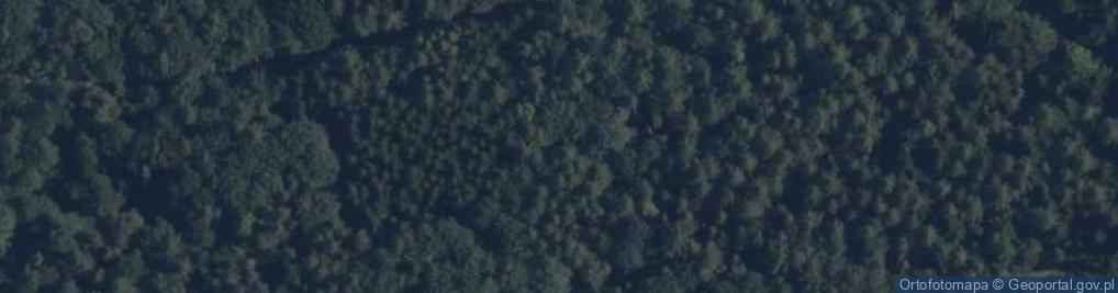 Zdjęcie satelitarne Uroczysko Czerwone Błoto