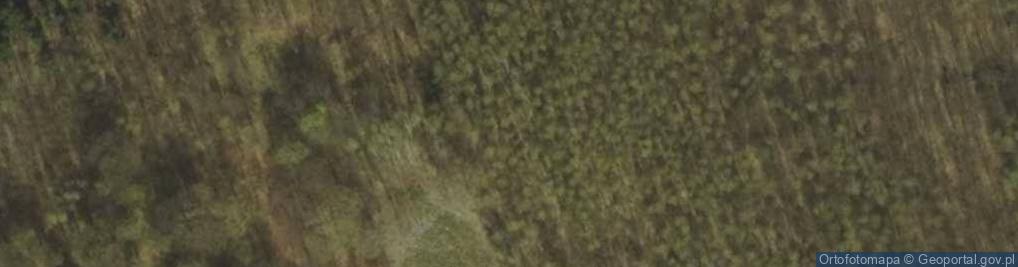 Zdjęcie satelitarne Uroczysko Czubatka