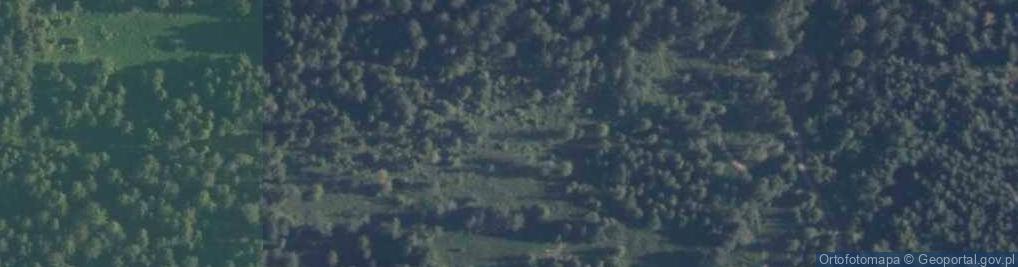 Zdjęcie satelitarne Uroczysko Dalmówski Las