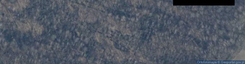 Zdjęcie satelitarne Uroczysko Daszewskie Bagno