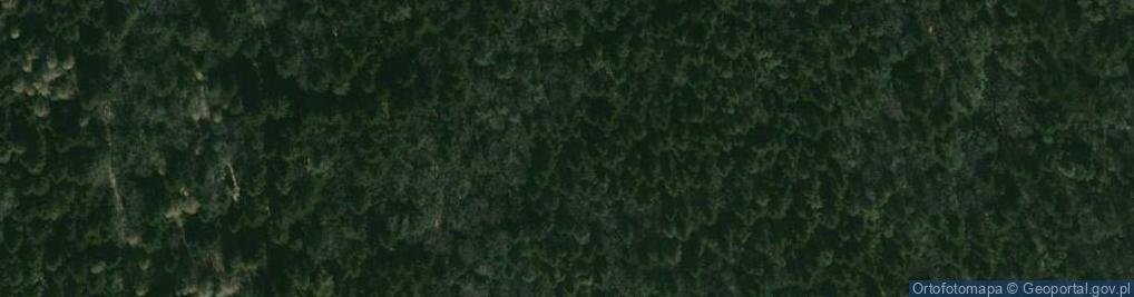 Zdjęcie satelitarne Uroczysko Dębina
