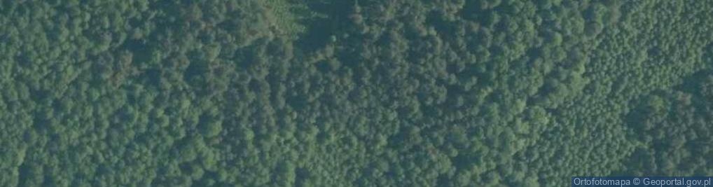 Zdjęcie satelitarne Uroczysko Dronowe Niwy