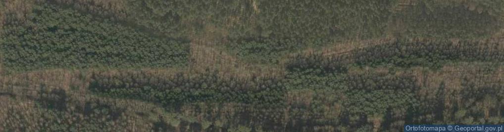 Zdjęcie satelitarne Uroczysko Duża Łąka