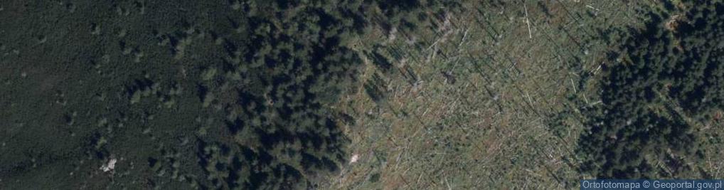 Zdjęcie satelitarne Uroczysko Dziadula