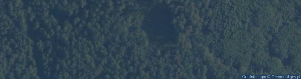 Zdjęcie satelitarne Uroczysko Dziechna