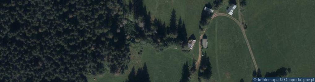 Zdjęcie satelitarne Uroczysko Dziedzicówka