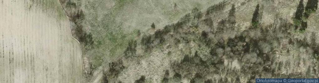 Zdjęcie satelitarne Uroczysko Dziewicze Łąki