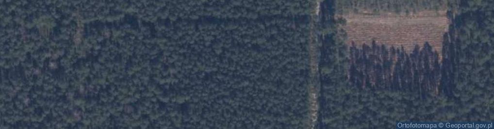Zdjęcie satelitarne Uroczysko Dzikon