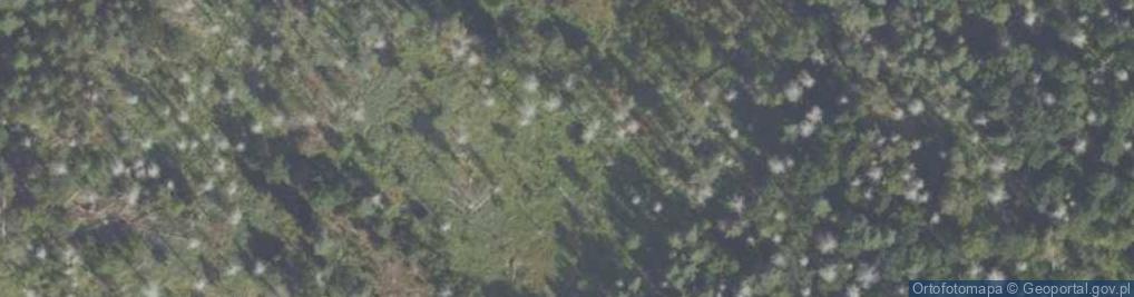 Zdjęcie satelitarne Uroczysko Gołe Bagna