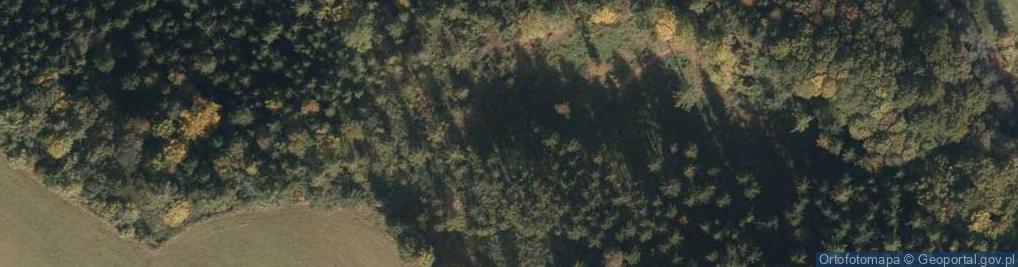 Zdjęcie satelitarne Uroczysko Goliński Las