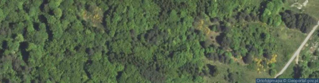 Zdjęcie satelitarne Uroczysko Góra Bukowie