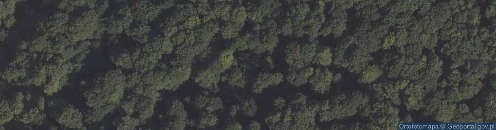 Zdjęcie satelitarne Uroczysko Góra Nart