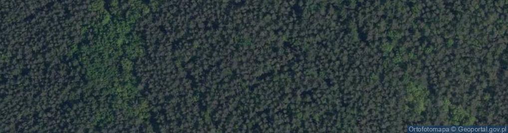 Zdjęcie satelitarne Uroczysko Góra Niwka