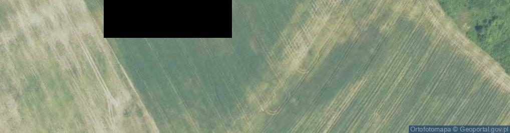 Zdjęcie satelitarne Uroczysko Góra Tarnowo