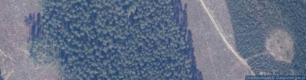 Zdjęcie satelitarne Uroczysko Góry Spadkowe