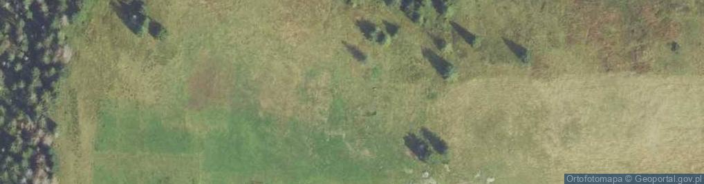 Zdjęcie satelitarne Uroczysko Hala Długa