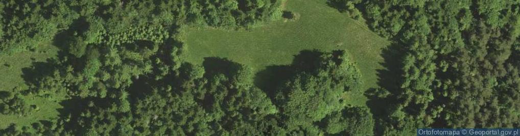 Zdjęcie satelitarne Uroczysko Hala Groń