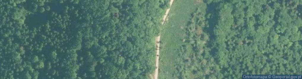 Zdjęcie satelitarne Uroczysko Hala Jaworzyny