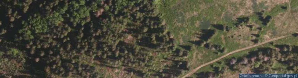Zdjęcie satelitarne Uroczysko Hala Mędralowa