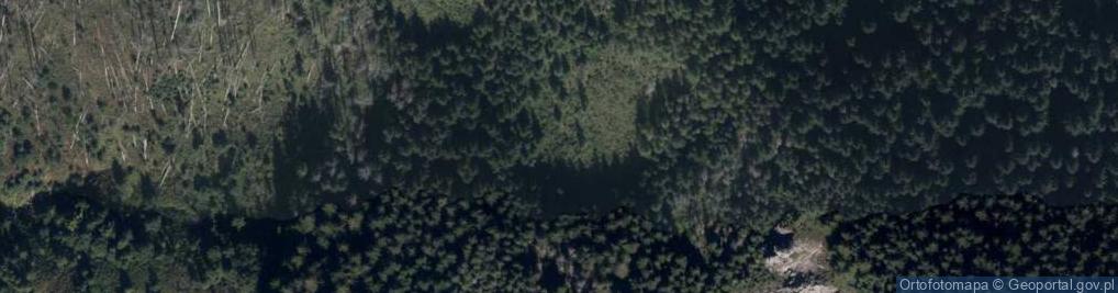 Zdjęcie satelitarne Uroczysko Hala Olczysko