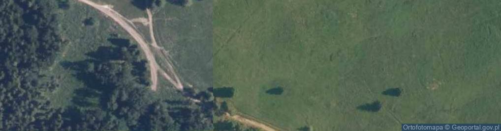 Zdjęcie satelitarne Uroczysko Hala Śmietanowa